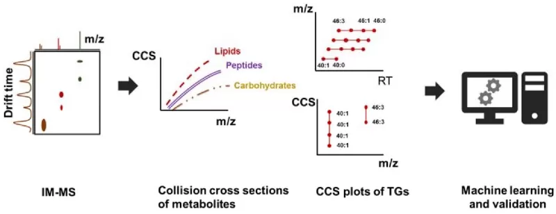 Ion mobility can be used as an additional orthogonal approach to resolve complex mixtures. Ion mobility can be used as an additional orthogonal approach to resolve complex mixtures.